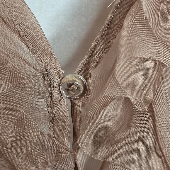 Fashion Nova Sweet Temptations Sheer Ruffle Balloon sleeve 90s Top Medium Rose - Picture 8 of 17